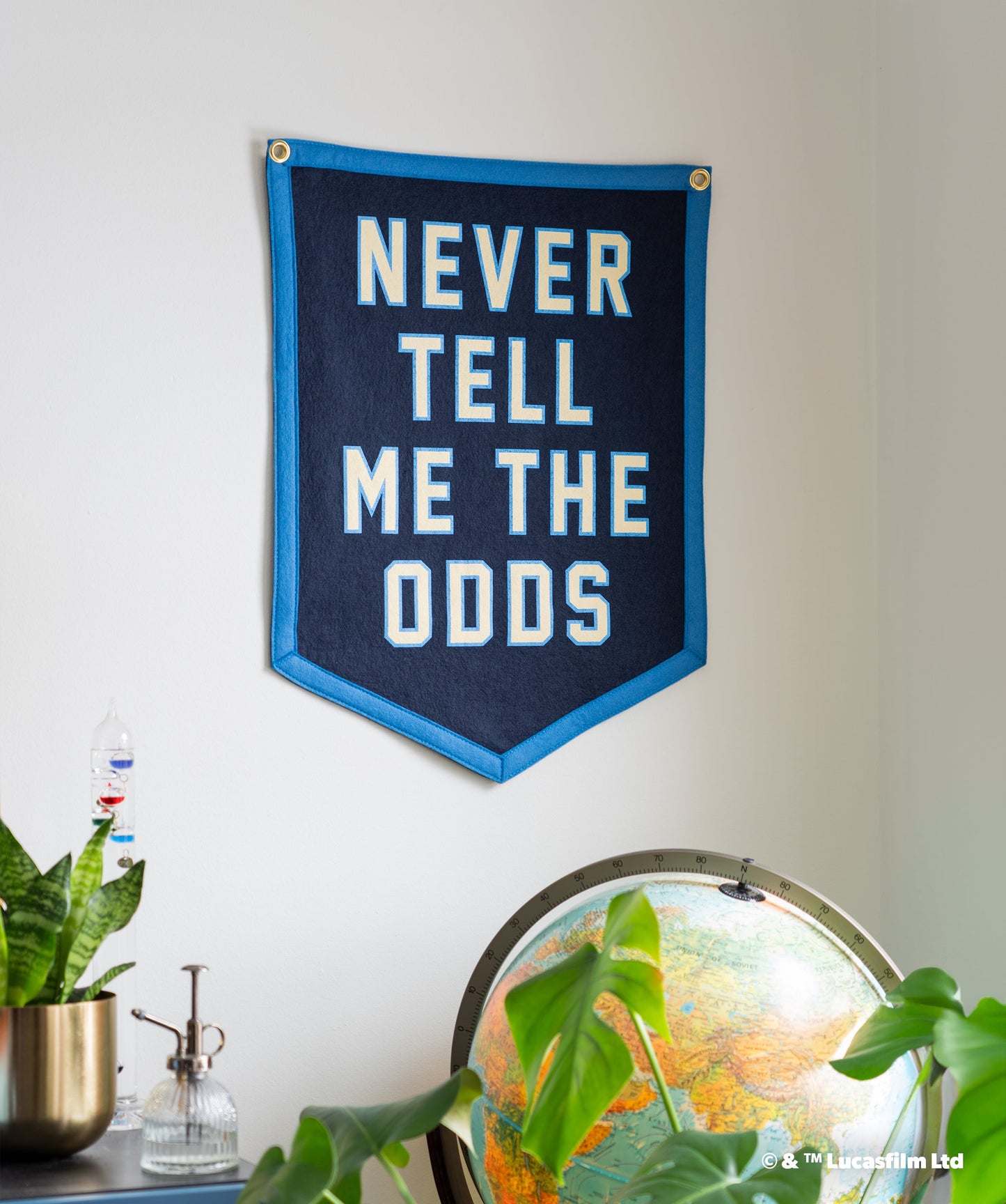 STAR WARS™ Never Tell Me The Odds Camp Flag